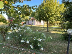Casa Dora Gubbio